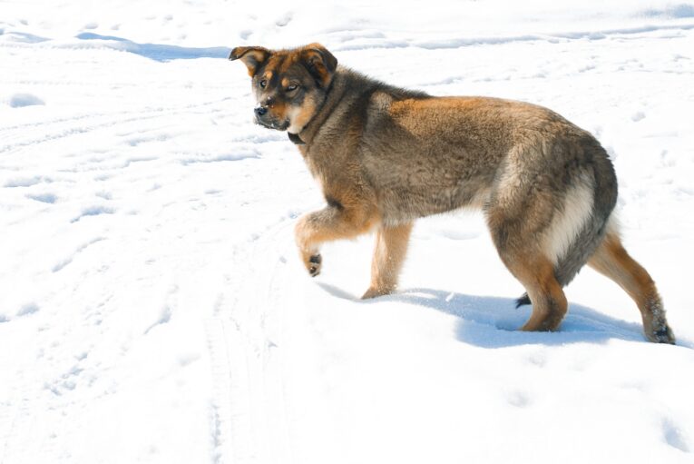 Дело о халатности экс-чиновника мэрии Хабаровска рассматривают в суде