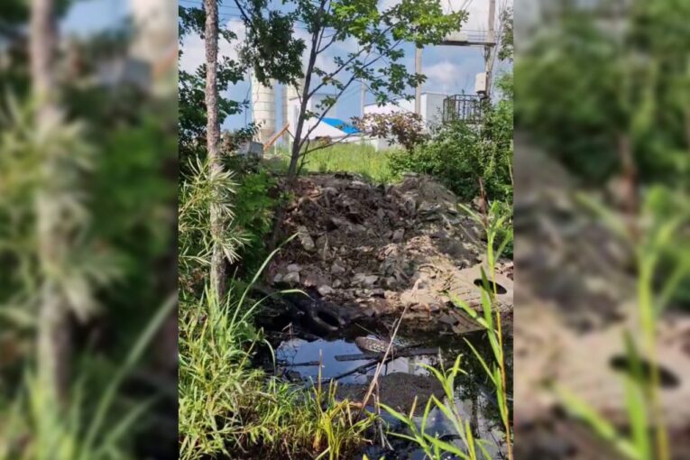 Нефть, а не пиво: в Хабаровске проверяют участок в районе завода «Балтика»