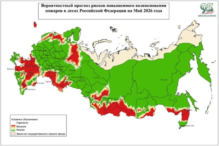 Юг Хабаровского края вошел в прогноз Авиалесоохраны на май