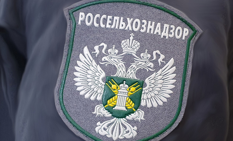 В Хабаровске остановили 22 тонны куриных субпродуктов из Китая