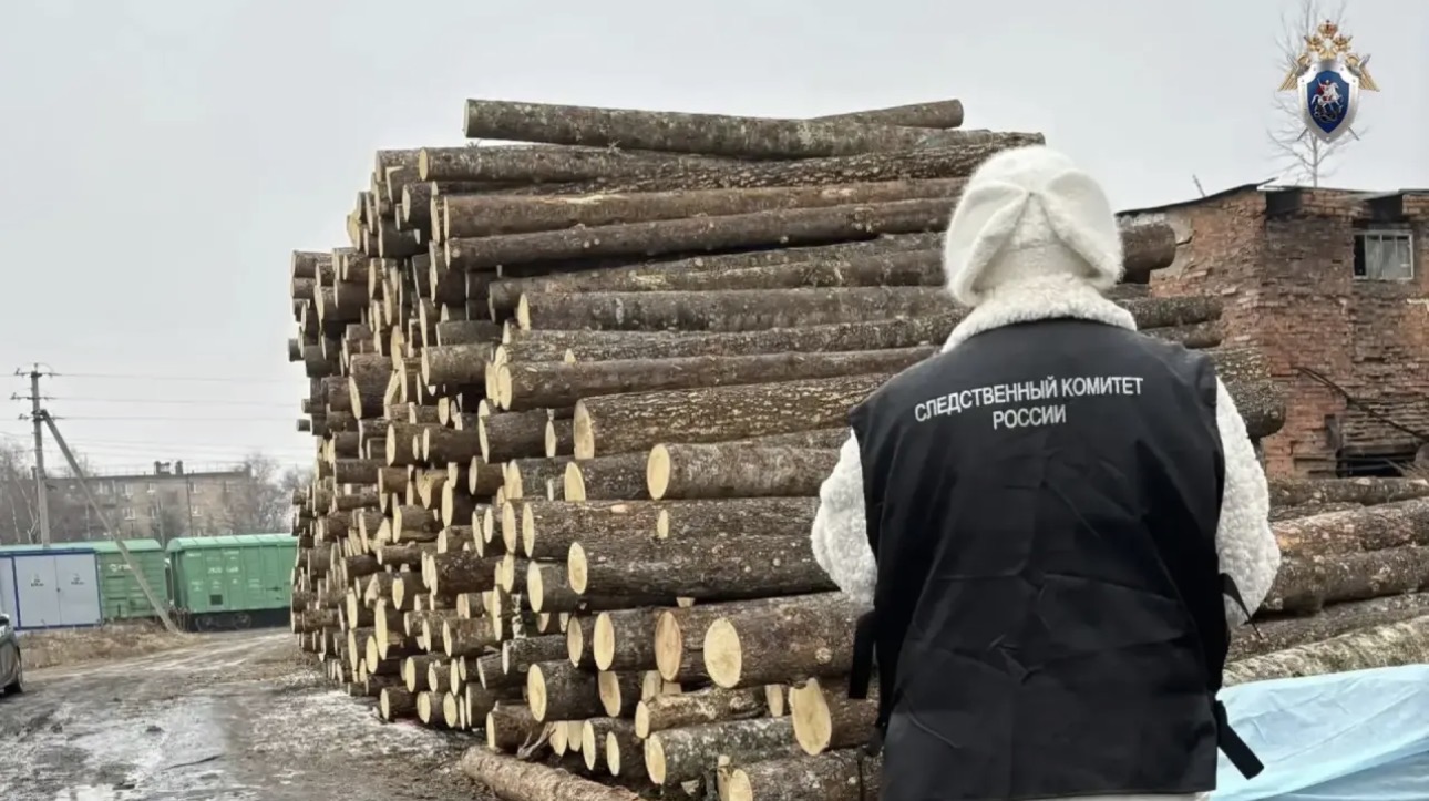 В Приморье по вине бизнесмена ребенка задавило бревном