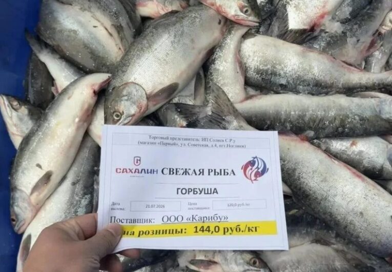 На Сахалине стартовали продажи свежей горбуши по 140 рублей