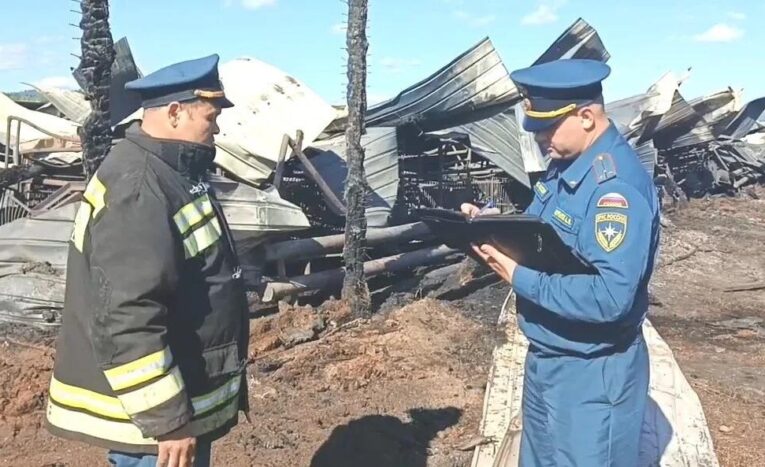 Названа причина крупного пожара на свинокомплексе в Забайкалье