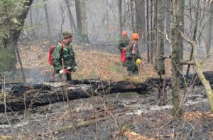 пожар в заповеднике