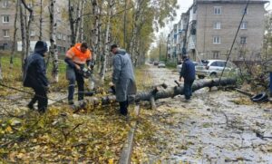Тайфун